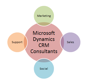 Microsoft Dynamics CRM Consultants for Comprehensive Customer Care